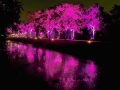 Nocna aleja